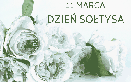 Biało różowe róże 11 marca